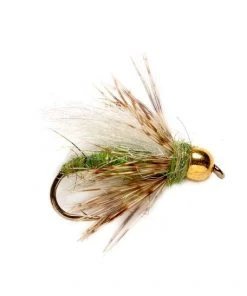 Fulling Mill Caddis Pupa - Green Shop Flies