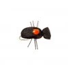 Fulling Mill Shop Flies Quick Sight Beetle