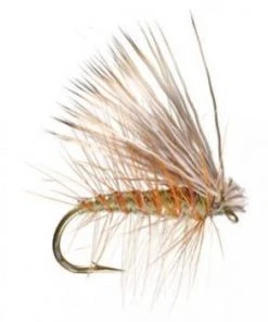 Umpqua Elk Caddis Olive