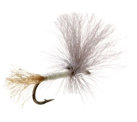 Umpqua Shop Flies Blue Ribbon Cripple PMD 3 Umpqua Shop Flies Blue Ribbon Cripple PMD