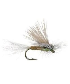 Umpqua Shop Flies E/C Caddis - Tan