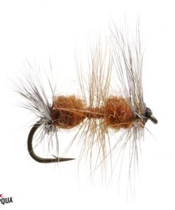 Umpqua GT Triple Double - Amber