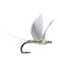 Umpqua No Hackle Gray/Olive
