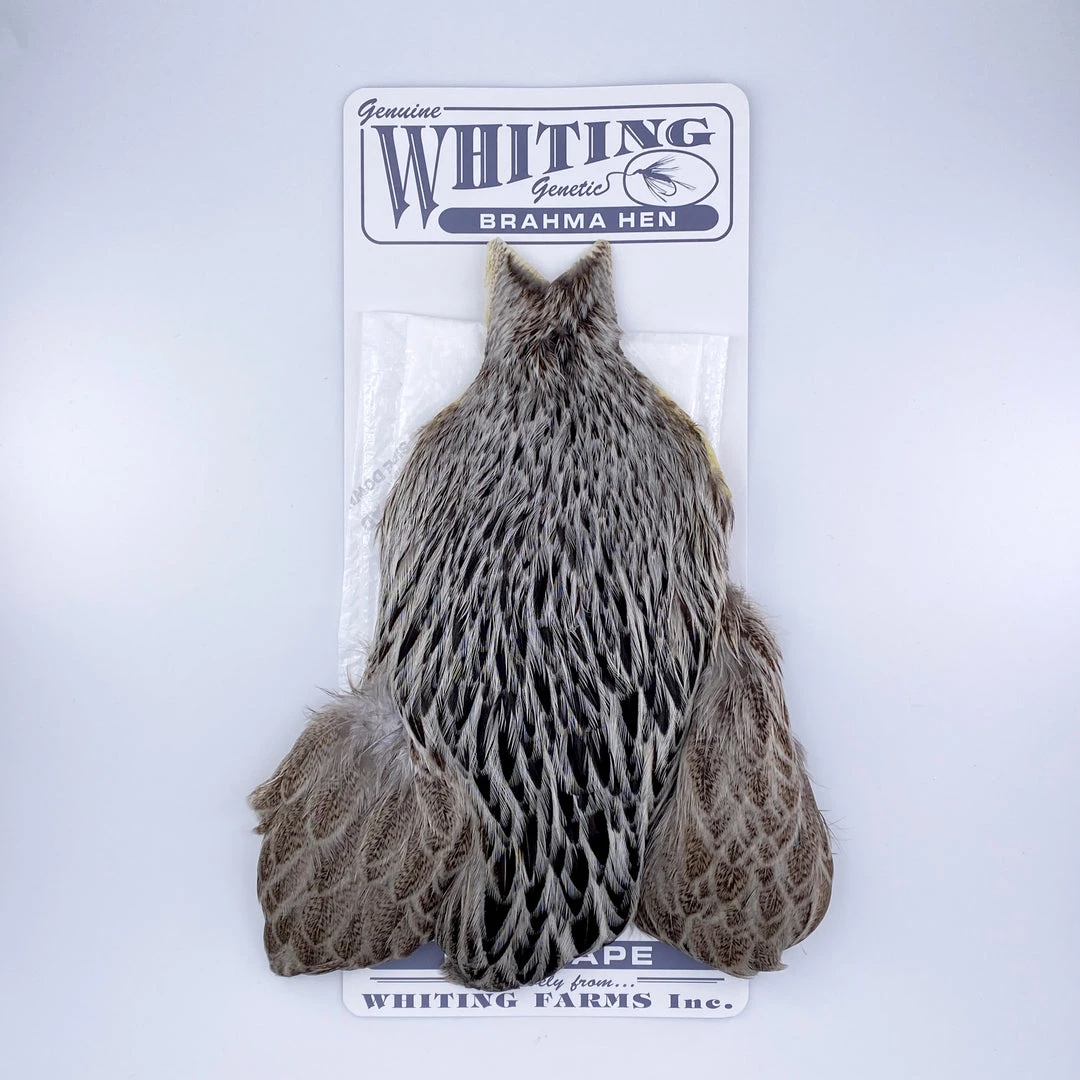 Whiting Brahma Hen Cape For Soft Hackles 3 Whiting Brahma Hen Cape For Soft Hackles