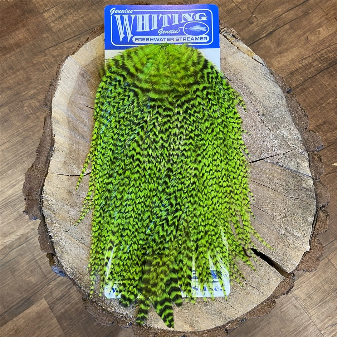 Whiting Freshwater Streamer Saddle - Schlappen/Bugger 7 Whiting Freshwater Streamer Saddle - Schlappen/Bugger