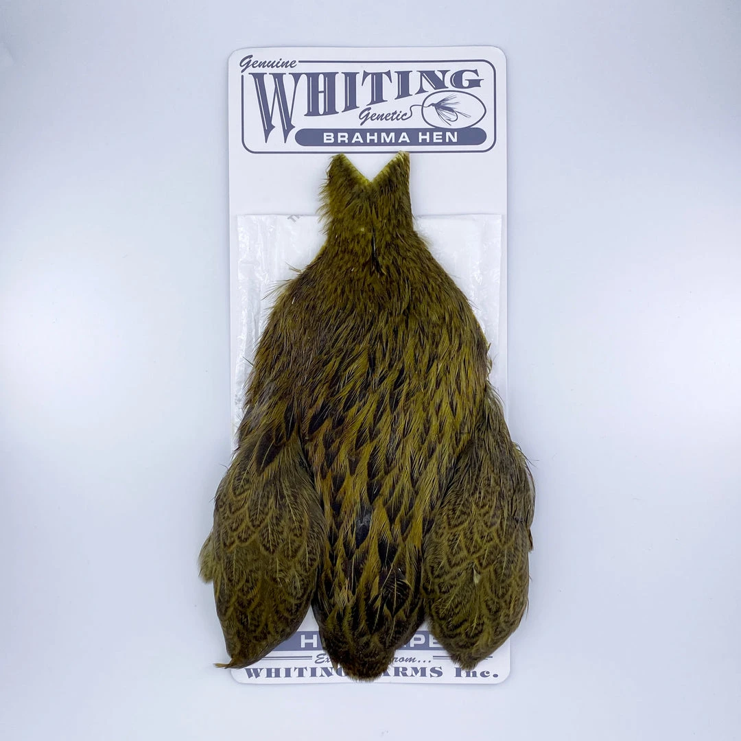 Whiting Brahma Hen Cape For Soft Hackles 10 Whiting Brahma Hen Cape For Soft Hackles