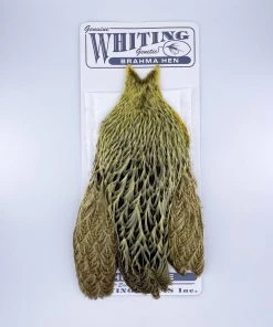 Whiting Brahma Hen Cape For Soft Hackles 17 Whiting Brahma Hen Cape For Soft Hackles