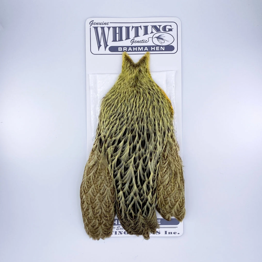 Whiting Brahma Hen Cape For Soft Hackles 6 Whiting Brahma Hen Cape For Soft Hackles