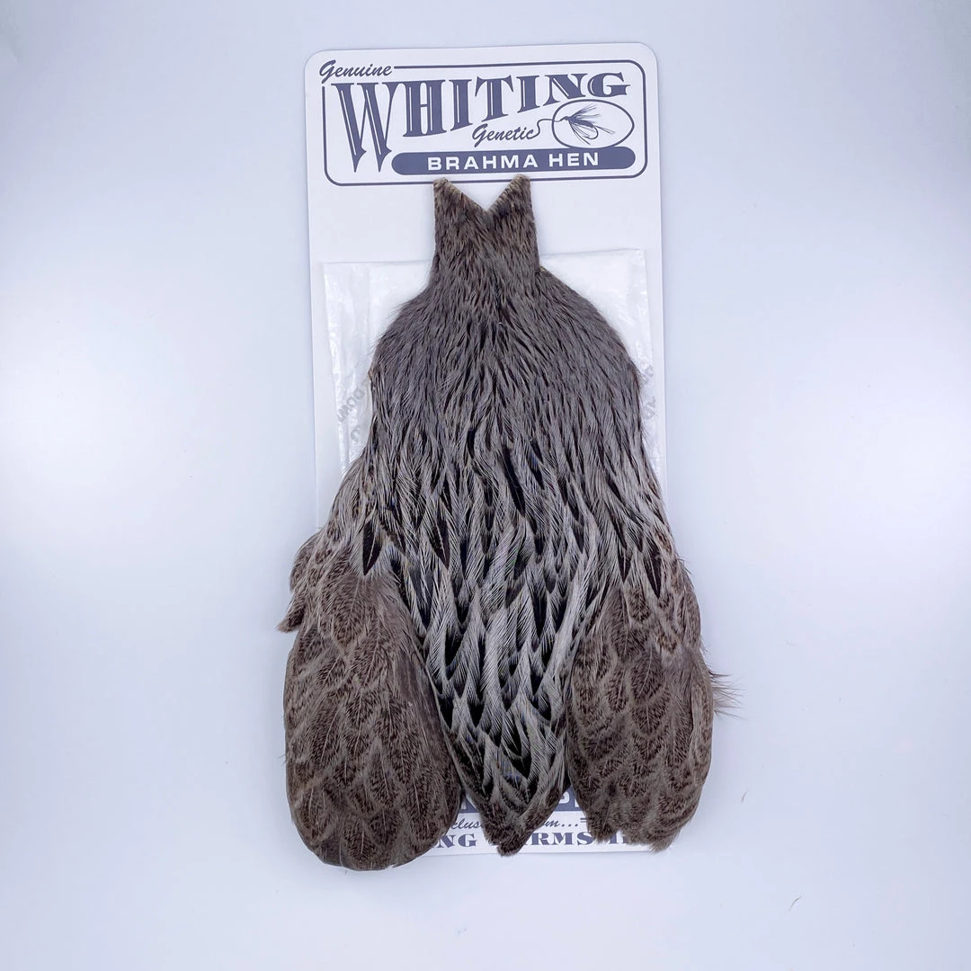 Whiting Brahma Hen Cape For Soft Hackles 4 Whiting Brahma Hen Cape For Soft Hackles