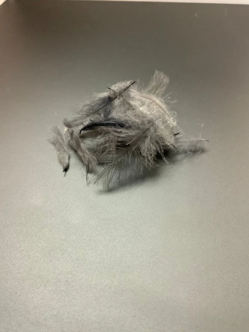 Feathers & Marabou Fly Fish Food “Duck Butt” CDC 4 Feathers & Marabou Fly Fish Food “Duck Butt” CDC