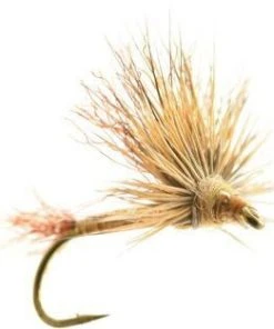 Umpqua Improved Sparkle Dun Callibaetis