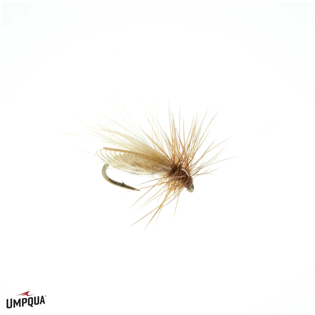 Umpqua Resting Caddis - Olive Shop Flies 4 Umpqua Resting Caddis - Olive Shop Flies
