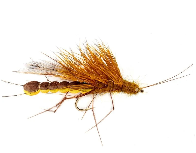 Fulling Mill McPhail Adult Golden Stone Shop Flies 3 Fulling Mill McPhail Adult Golden Stone Shop Flies