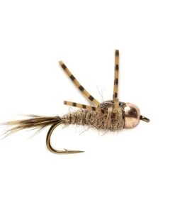 Fulling Mill Arizona Hare Light