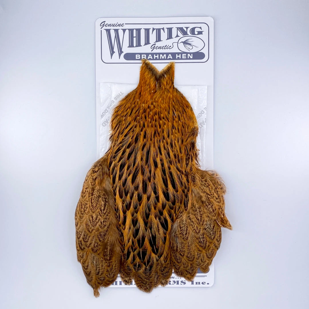 Whiting Brahma Hen Cape For Soft Hackles 9 Whiting Brahma Hen Cape For Soft Hackles