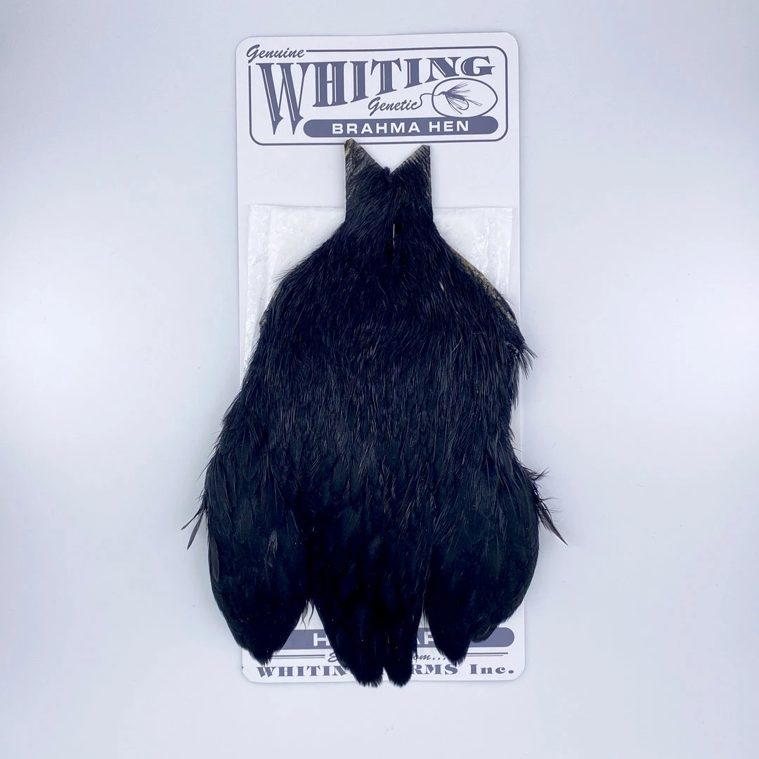 Whiting Brahma Hen Cape For Soft Hackles 8 Whiting Brahma Hen Cape For Soft Hackles