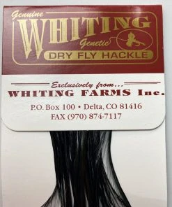 Whiting 100 Pack Dry Fly Hackle - Black - 14