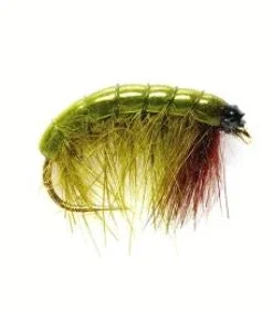 Fulling Mill UK Olive Bug