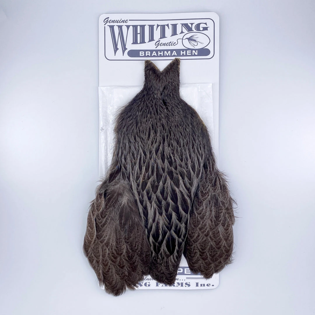 Whiting Brahma Hen Cape For Soft Hackles 5 Whiting Brahma Hen Cape For Soft Hackles