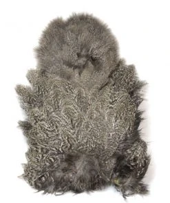 Whiting Coq De Leon Soft Hackle With Chickabou