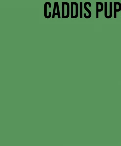 SemperFli Kapok Dry Fly Dubbing