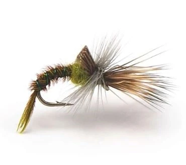 Umpqua Challenged Baetis 3 Umpqua Challenged Baetis