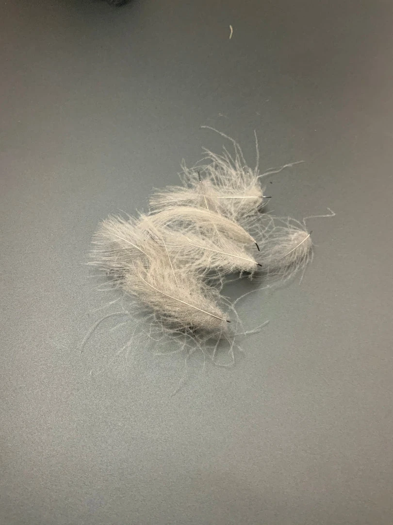 Feathers & Marabou Fly Fish Food “Duck Butt” CDC 6 Feathers & Marabou Fly Fish Food “Duck Butt” CDC