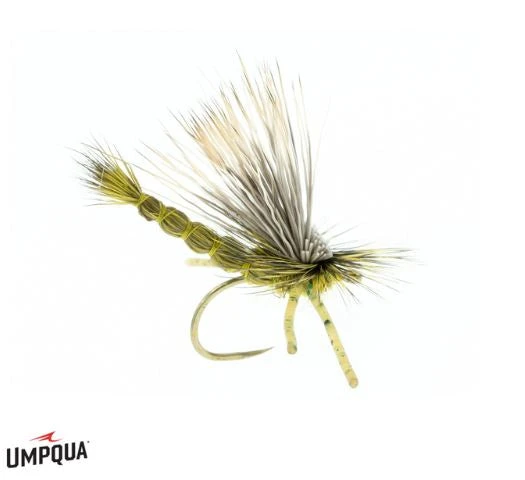Umpqua Shop Flies DJL Drake - Green 3 Umpqua Shop Flies DJL Drake - Green
