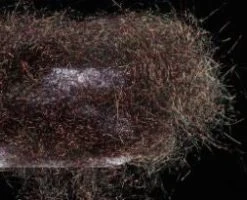 Nature's Spirit Sybai Fine Diamond Dubbing