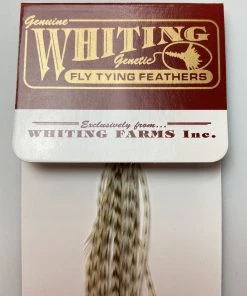 Whiting 100 Pack Dry Fly Hackle - Dun Grizzly - 10