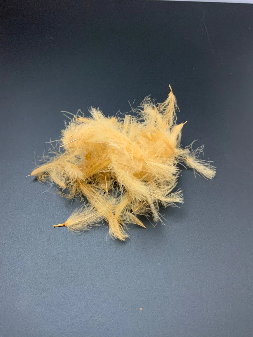 Feathers & Marabou Fly Fish Food “Duck Butt” CDC 5 Feathers & Marabou Fly Fish Food “Duck Butt” CDC