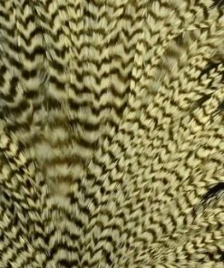 Wapsi Hackle Ewing Wooly Bugger Patch