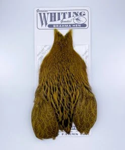 Whiting Brahma Hen Cape For Soft Hackles 22 Whiting Brahma Hen Cape For Soft Hackles