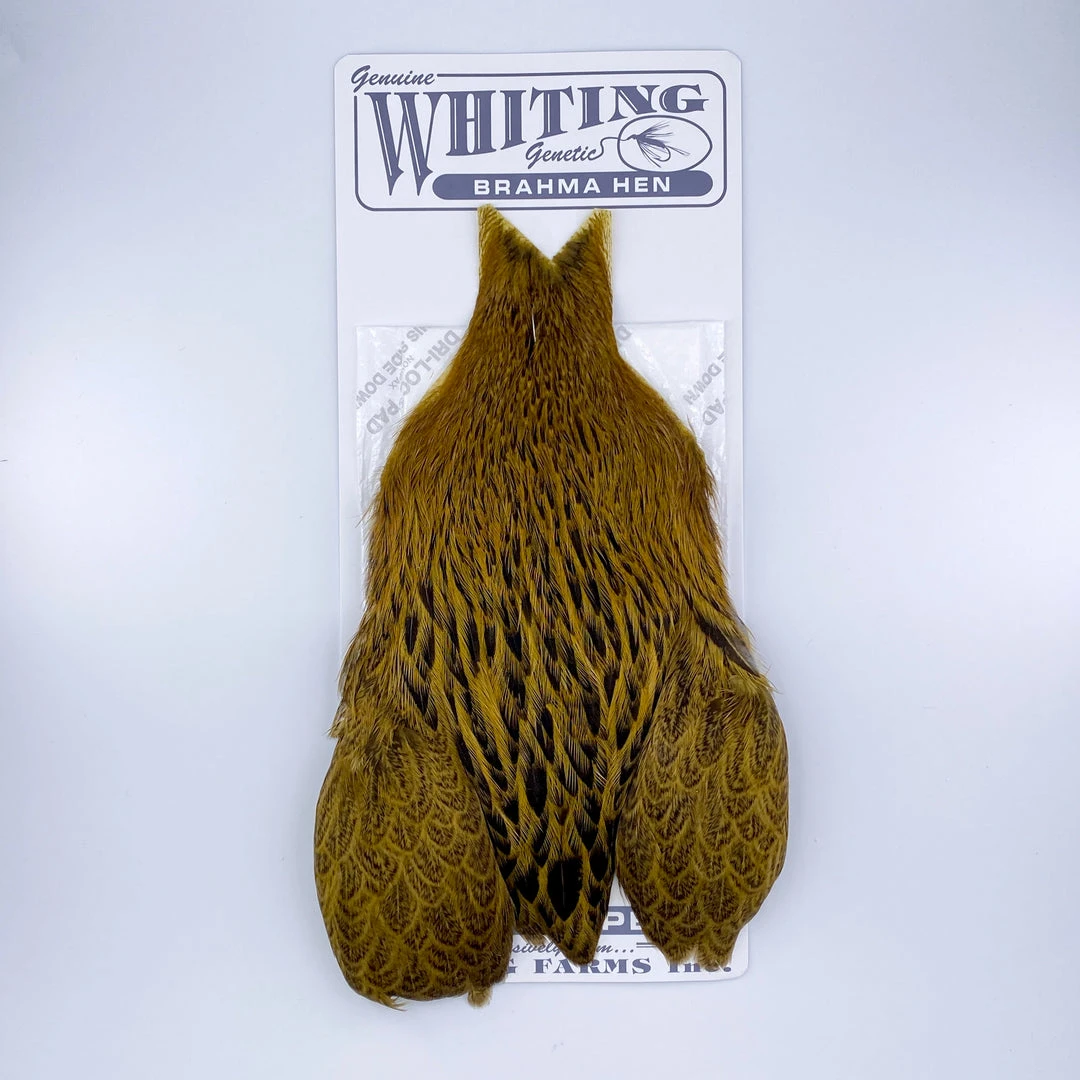 Whiting Brahma Hen Cape For Soft Hackles 11 Whiting Brahma Hen Cape For Soft Hackles
