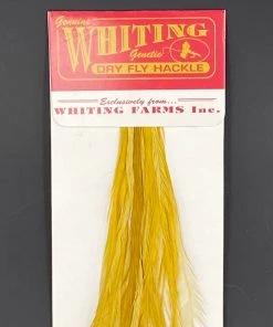 Whiting 100 Pack Dry Fly Hackle - White Dyed Golden Olive - 14