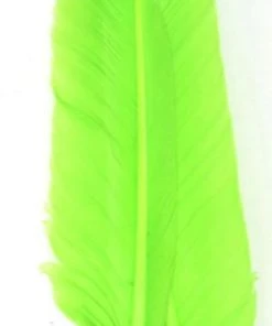 Nature's Spirit Goose Quills