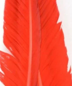 Nature's Spirit Goose Quills