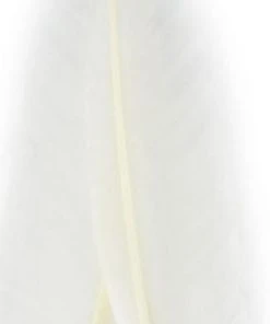 Nature's Spirit Goose Quills