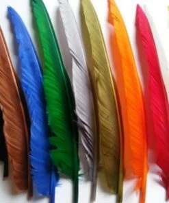 Nature's Spirit Goose Quills