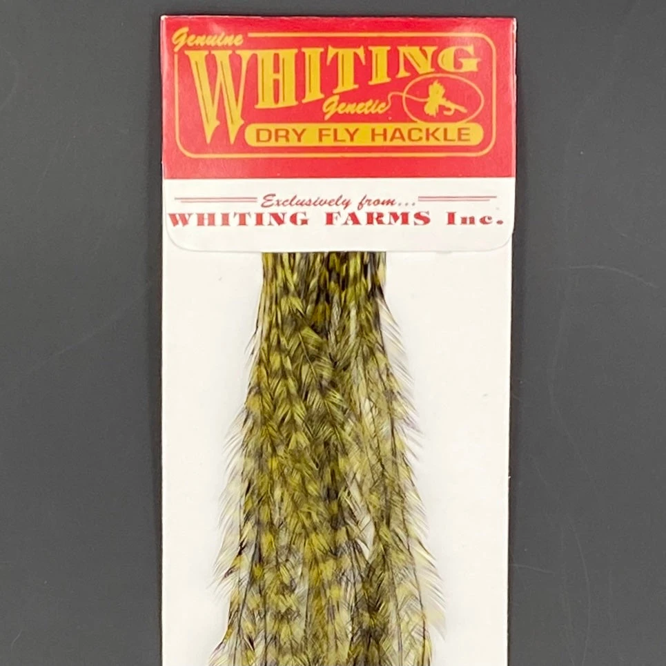 Whiting 100 Pack Dry Fly Hackle - Grizzly Dyed Dark Olive - 14 3 Whiting 100 Pack Dry Fly Hackle - Grizzly Dyed Dark Olive - 14