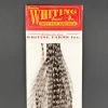 Whiting 100 Pack Dry Fly Hackle - Grizzly Dyed Medium Dun - 10