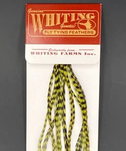 Whiting 100 Pack Dry Fly Hackle - Grizzly Dyed Olive - 14