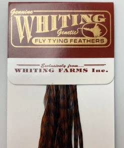 Whiting 100 Pack Dry Fly Hackle - Grizzly Dyed Coachman Brown - 18