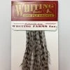 Whiting 100 Pack Dry Fly Hackle - Grizzly Dyed Medium Dun - 14