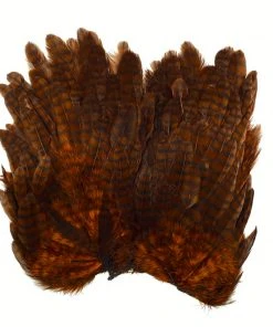 Whiting Bugger Hackle Patch