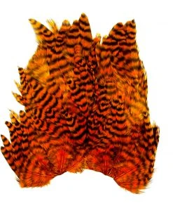 Whiting Bugger Hackle Patch