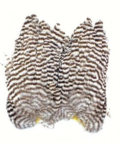 Whiting Bugger Hackle Patch