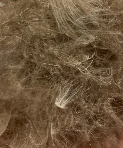 Nature's Spirit Swiss CDC Dubbing Feathers & Marabou