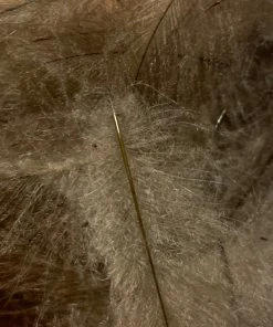 TroutHunter Premium Bulk CDC Feathers & Marabou 37 TroutHunter Premium Bulk CDC Feathers & Marabou