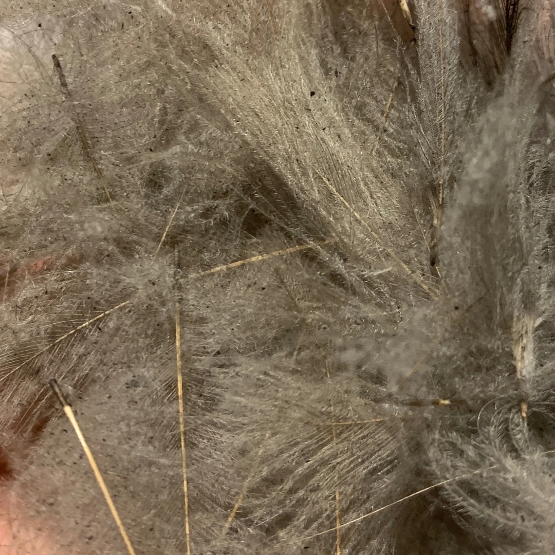 TroutHunter Premium Bulk CDC Feathers & Marabou 6 TroutHunter Premium Bulk CDC Feathers & Marabou